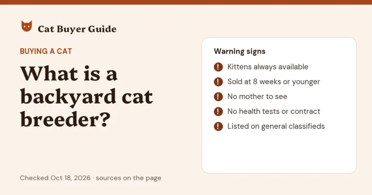 Card: what is a backyard cat breeder? Warning signs: kittens always available, kittens sold at 8 weeks or younger, no mother to see, no health tests or contract, and listings on general classifieds sites.
