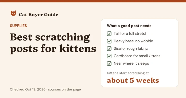 Card: best scratching posts for kittens, a buyer's guide. A good post is tall enough for a full stretch, has a heavy base that doesn't wobble, and a sisal or rough fabric surface; small kittens may like cardboard too. Put it near where your kitten sleeps. Kittens start scratching at about 5 weeks.