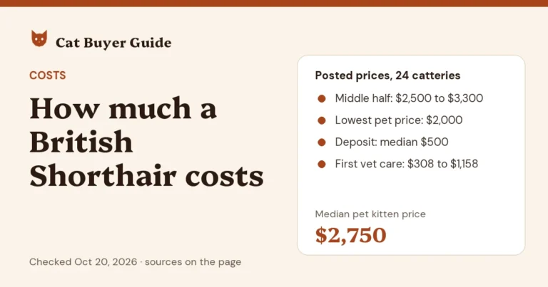 Card: how much a British Shorthair costs. Posted prices at 24 US catteries on Oct 20, 2026: a median pet kitten price of $2,750, with the middle half at $2,500 to $3,300 and the lowest pet price $2,000; a median deposit of $500; and $308 to $1,158 for first vet care.