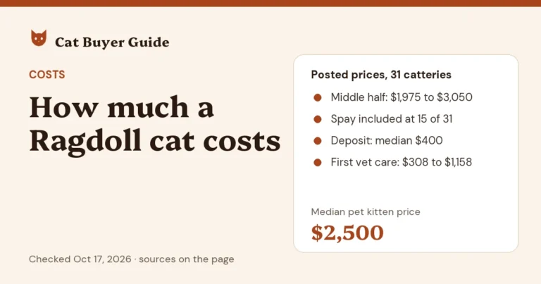 Card: how much a Ragdoll cat costs. Posted prices at 31 US catteries on Oct 17, 2026: a median pet kitten price of $2,500, with the middle half at $1,975 to $3,050; spay or neuter included at 15 of 31; a median deposit of $400; and $308 to $1,158 for first vet care.
