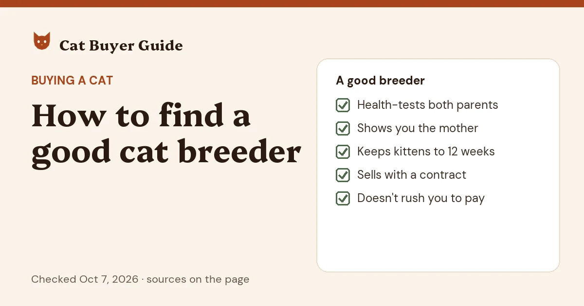 Card: how to find a good cat breeder. A good breeder health-tests both parents, shows you the mother, keeps kittens until 12 weeks or older, sells with a written contract and doesn't rush you to pay.