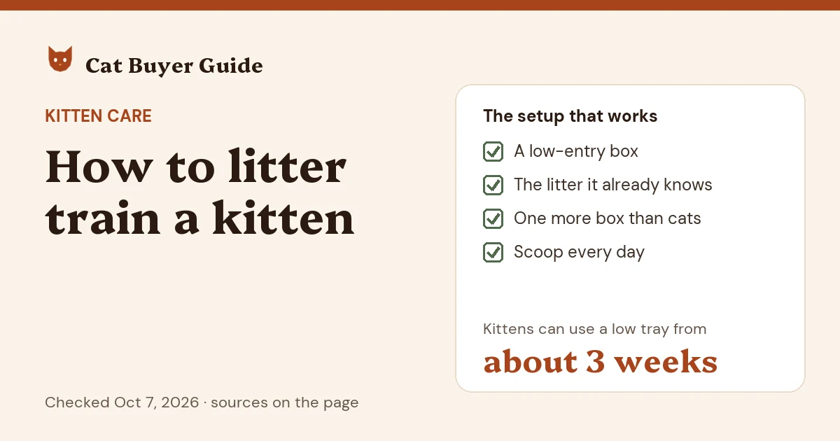 Card: how to litter train a kitten. The setup: a low-entry box, the litter the kitten already knows, one more box than you have cats, and daily scooping. Kittens can use a low-sided tray from about 3 weeks old.