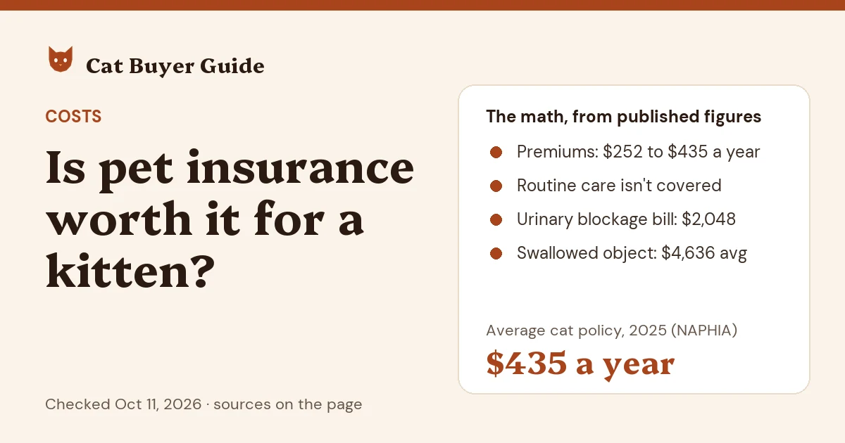 Card: is pet insurance worth it for a kitten? Published premiums run $252 to $435 a year; routine care isn't covered; published cat bills include $2,048 for a urinary blockage and a $4,636 average for a swallowed object. NAPHIA's 2025 average cat accident-and-illness policy: $435 a year.