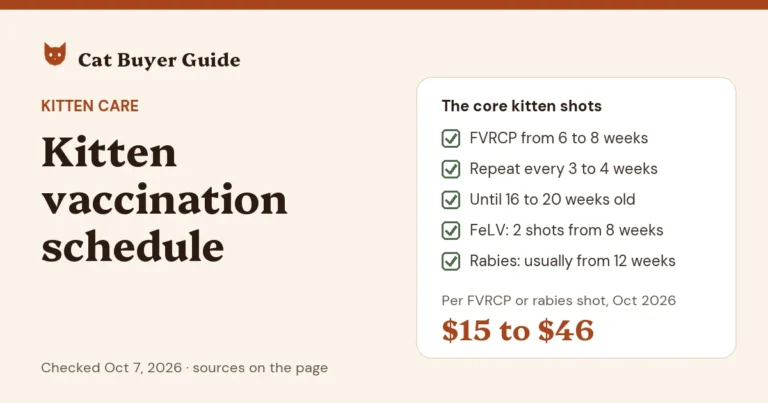 Card: kitten vaccination schedule (AAHA/AAFP 2020). FVRCP from 6 to 8 weeks, repeated every 3 to 4 weeks until 16 to 20 weeks old; FeLV, 2 shots from 8 weeks; rabies usually from 12 weeks. An FVRCP or rabies shot cost $15 to $46 in our Oct 2026 price check.