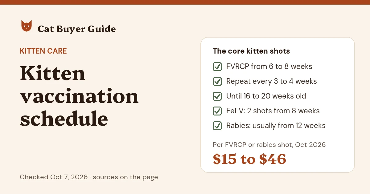 Card: kitten vaccination schedule (AAHA/AAFP 2020). FVRCP from 6 to 8 weeks, repeated every 3 to 4 weeks until 16 to 20 weeks old; FeLV, 2 shots from 8 weeks; rabies usually from 12 weeks. An FVRCP or rabies shot cost $15 to $46 in our Oct 2026 price check.