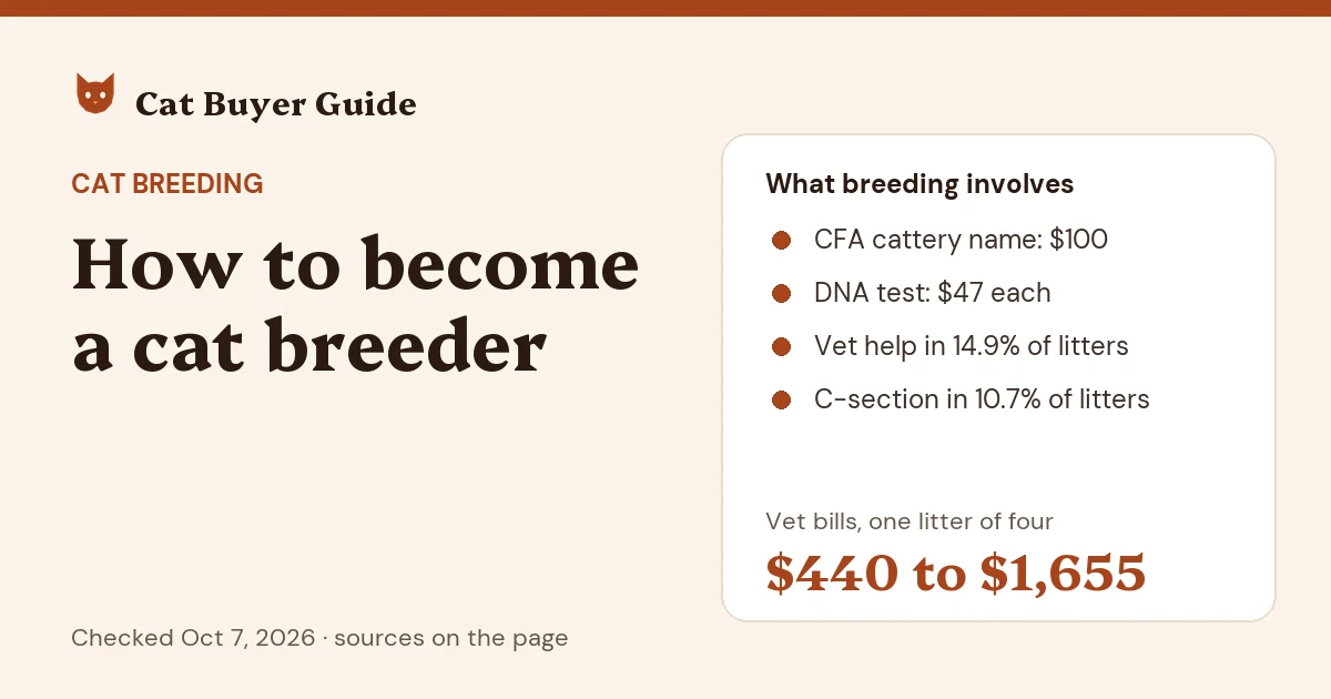 Card: how to become a cat breeder. A CFA cattery name costs $100, a DNA test $47; in a survey of 853 litters, 14.9% needed a vet's help and 10.7% a C-section. Vet bills for one litter of four: $440 to $1,655.