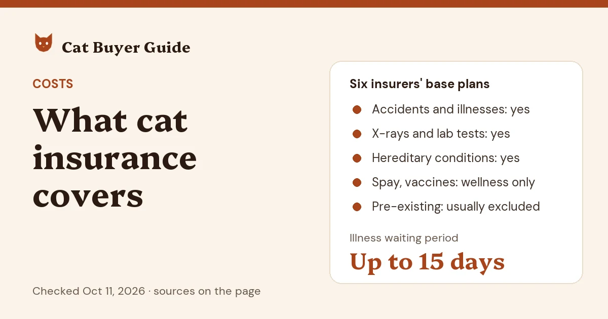 Card: what cat insurance covers. At six insurers the base plan covers accidents, illnesses, X-rays and lab tests, and hereditary conditions; spaying and vaccines need a wellness plan, and pre-existing conditions are usually excluded. Illness waiting periods run up to 15 days.